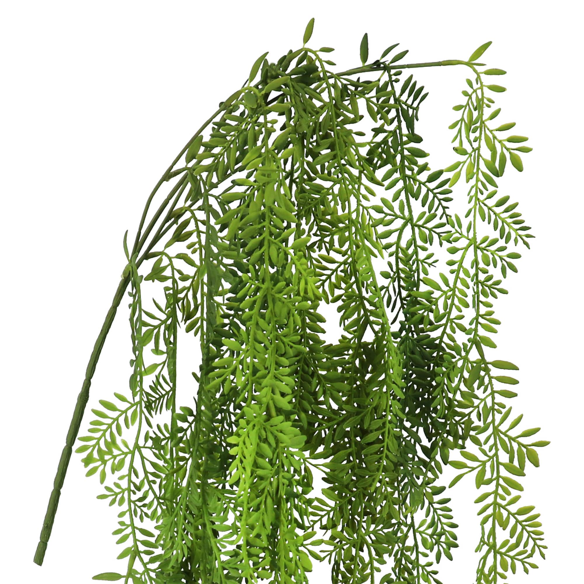 26" Hanging Ficus Bush by Ashland®